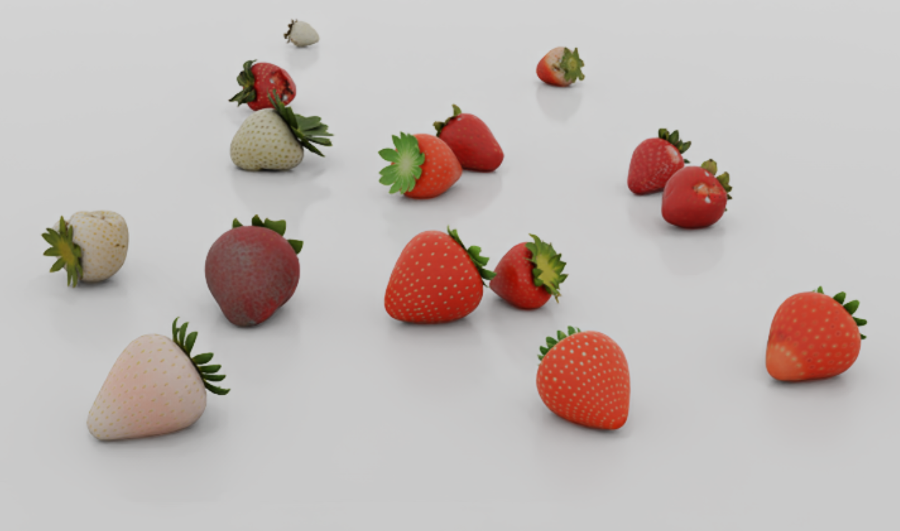 Strawberry variations in red, pale pink, and white, with different shapes and surface details